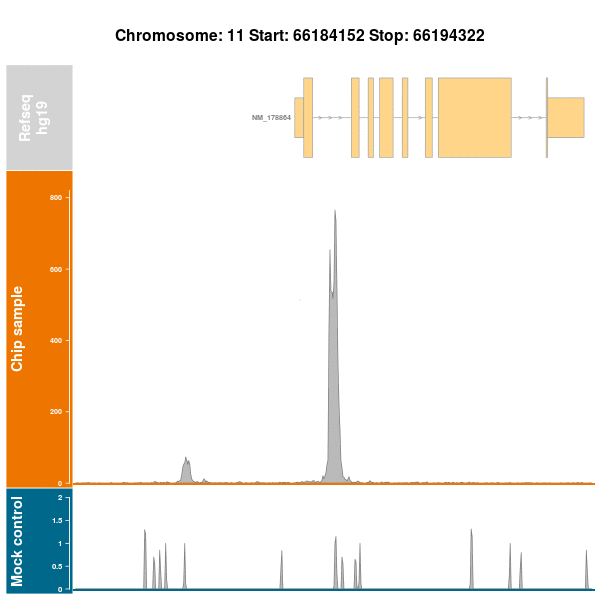 Chip GIF Find & Share on GIPHY