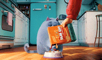 the secret life of pets movie animated gif the secret life of pets movie animated gif