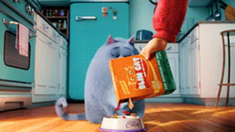 The Secret Life Of Pets Gifs Get The Best Gif On Giphy