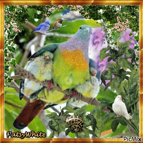 Tenderness GIF Find & Share on GIPHY