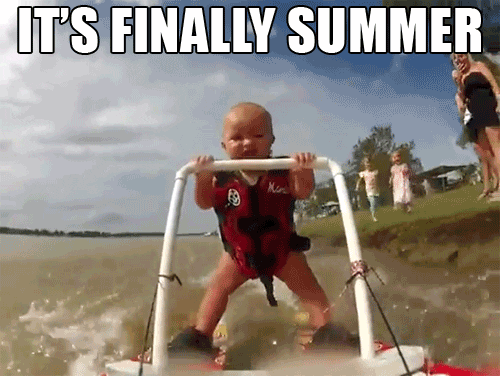 "It's finally summer!" - bring on the sustainable activities