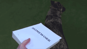 Homework GIF - Find & Share on GIPHY