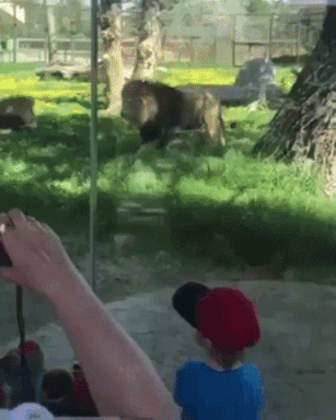 Nature is scary as hell in funny gifs