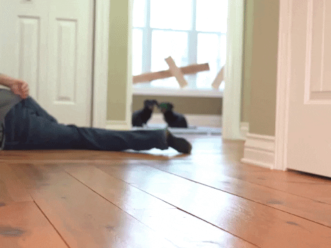 oakley tripping birdbox