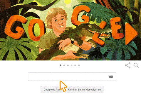 Steve Irvin Google Doodle