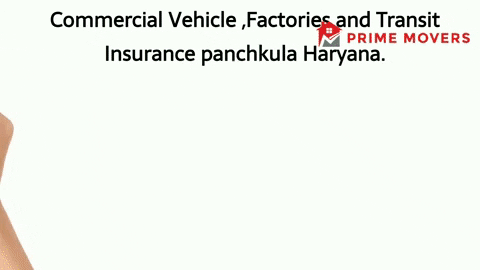 99% Discounted Insurance Services Panchkula