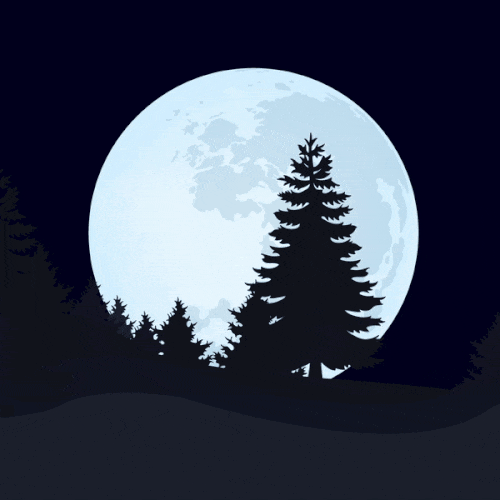 lunar beauty full moon