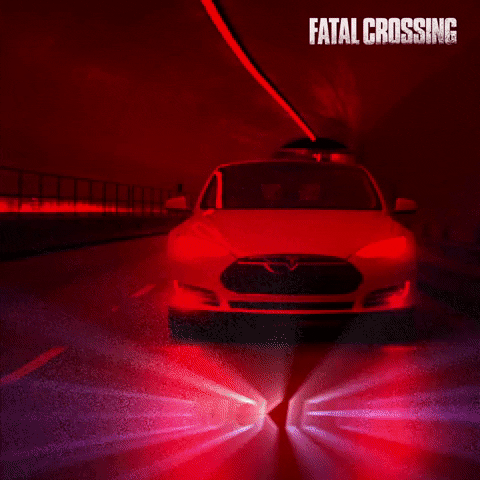 Buckle Up Screen Media Films GIF