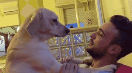 man and cute puppy gif