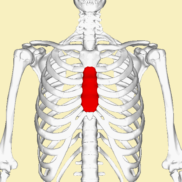 Body GIF Find & Share on GIPHY