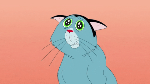 Big Eyes Cat GIF by Oggy and the Cockroaches