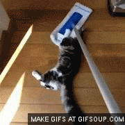 Magnet GIF - Find & Share on GIPHY