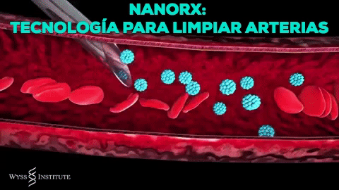 Arteriosclerosis Nanorx GIF - Find & Share on GIPHY