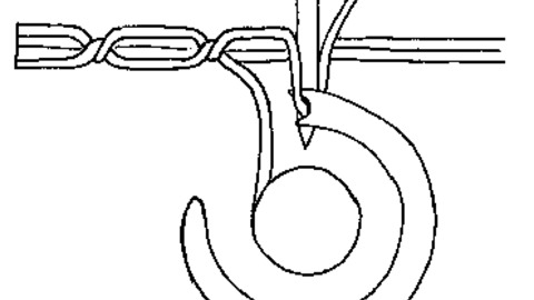Sewing Machine How Stuff Works GIF Find Share On GIPHY Adorable How Does The Sewing Machine Work Sewing Machine How Stuff Works GIF Find Share On GIPHY Adorable How Does The Sewing Machine Work