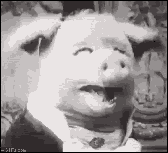 The Dancing Pig GIFs - Find & Share on GIPHY