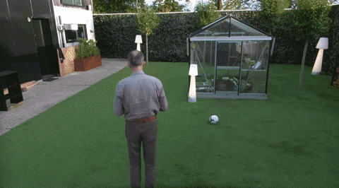 giphy.gif