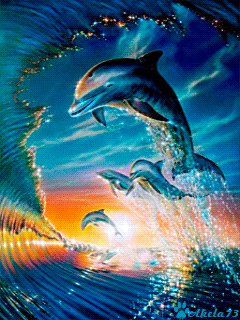 miami dolphins gif find amp share on giphy miami dolphins gif find amp share on giphy