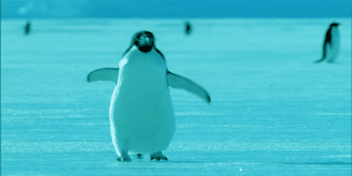 Pinguin GIF