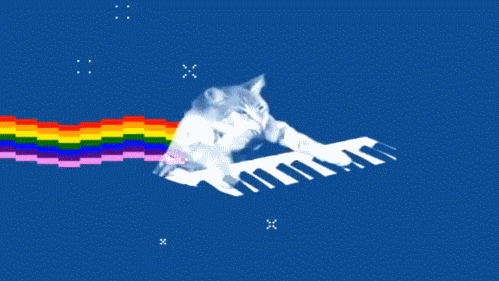 Piano Cat GIFs - Find & Share on GIPHY