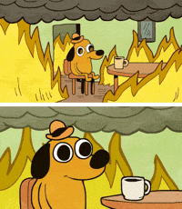 This Is Fine Dog In Fire
