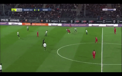Ben Arfa GIF by nss sports