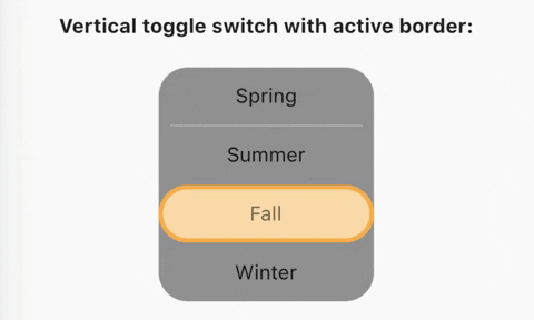 Vertical toggle switch with active border