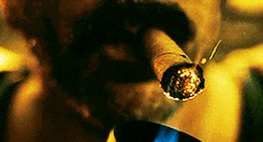 [Image: 200.gif]