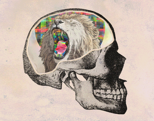Skelet met kleurijke bewegende beelden in hersens. 
