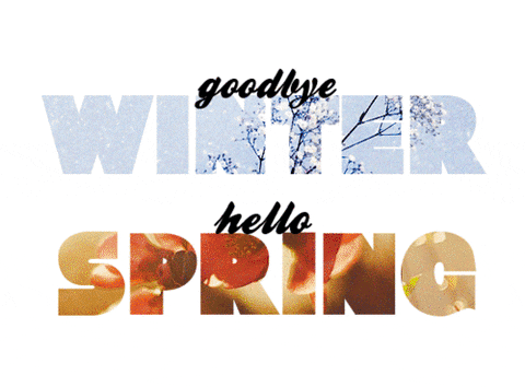 Winter Spring GIF - Find & Share on GIPHY