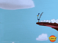 Wile E. Coyote running straight off a cliff and continuing on thin air until he looks down — momentum and confidence that outran the ground under it.