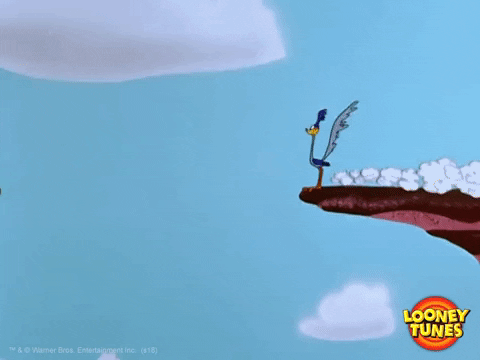 Wile E. Coyote Fall GIF by Looney Tunes