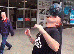 giphy.gif