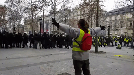 France riots in funny gifs