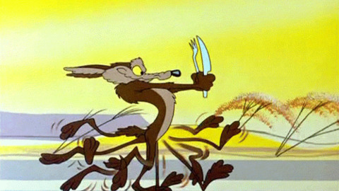 Wile E Coyote GIFs on Giphy