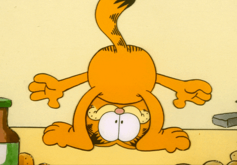 Happy Upside Down GIF by Garfield.   garfield.com