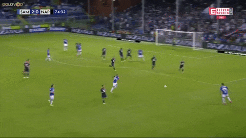 Gol GIF by nss sports