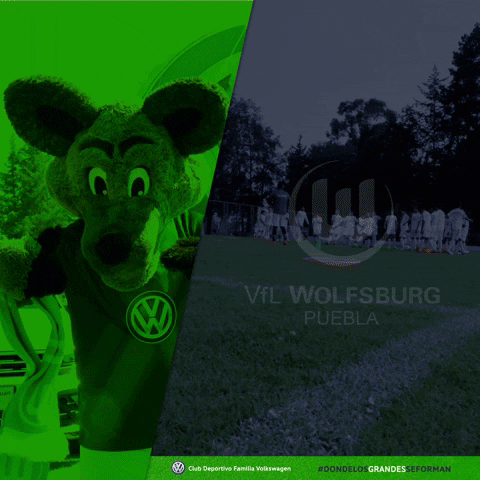 Puebla Wolfsburg GIF