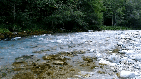 Animated GIF, Fluss by GIPHY