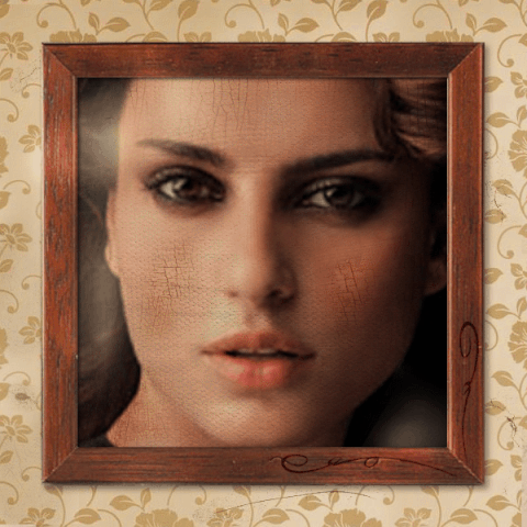 Fotos GIF - Find & Share on GIPHY