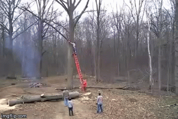 Cutting Trees Animated