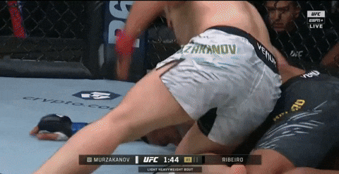 giphy.gif