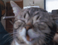 https://media.giphy.com/media/9pNZS45MrZ3ZC/giphy.gif