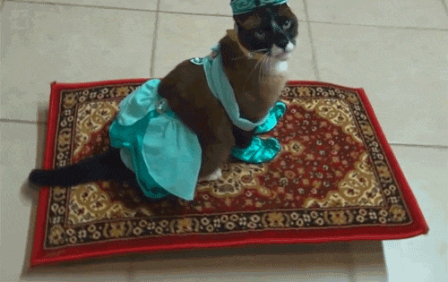 source.gif