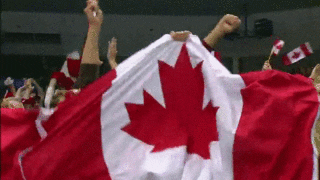 Bandeira do Canadá tremulando