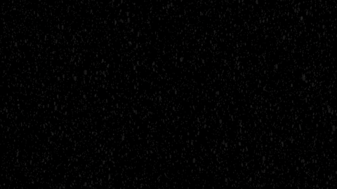 alt_text