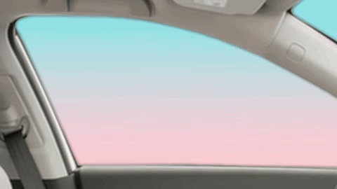 GIF by NorCal Honda Dealers - Find & Share on GIPHY