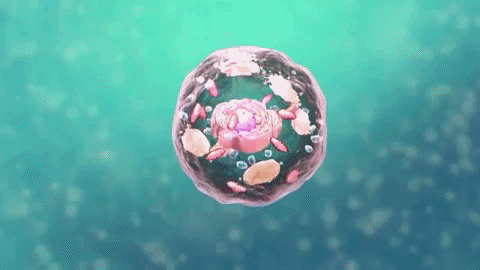 Animated GIF - Find & Share on GIPHY