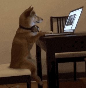 cachorrinho consumindo conteúdo no computador