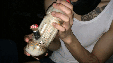 giphy Most DIY Bongs Are Made From Apples And Bottles, Says Survey