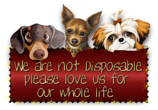 We are not disposable please love us for our whole life